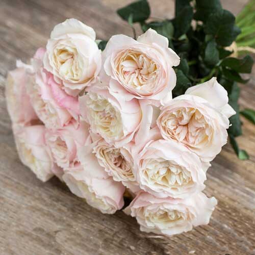 Букет роз от Дэвида Остина "Кейра" - фото 1