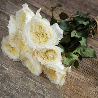 Букет роз от Дэвида Остина "Патинс" - фото 1