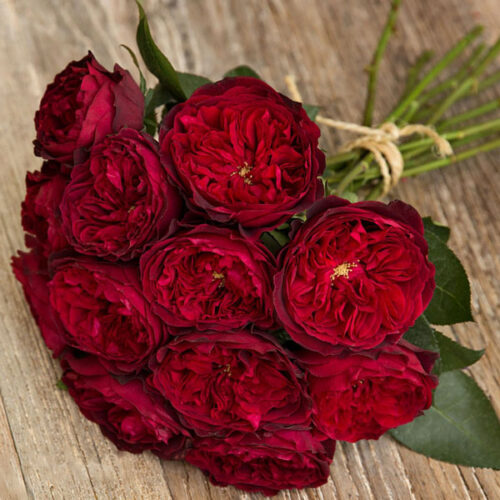 Букет роз от Дэвида Остина "Тесс" - фото 1