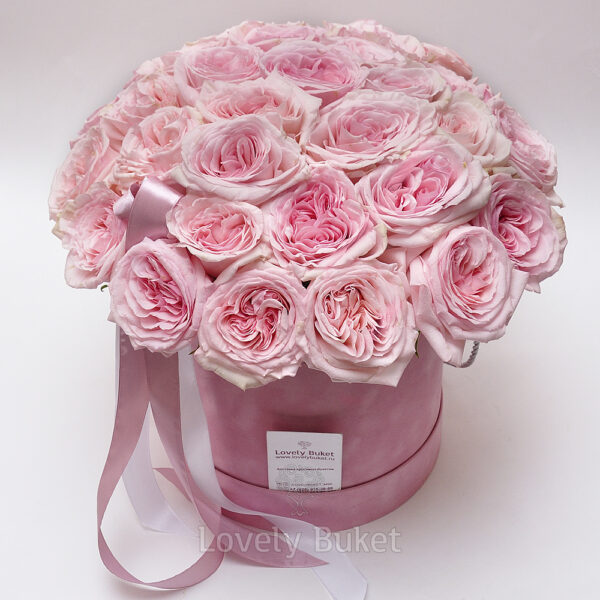 Букет пионовидных роз с фруктовым ароматом в коробке "Бархат" - фото 1