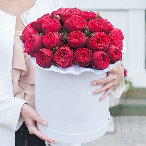 Букет английских красных пионовидных роз в коробке - фото 1