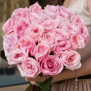 пионовидная роза розового цвета
