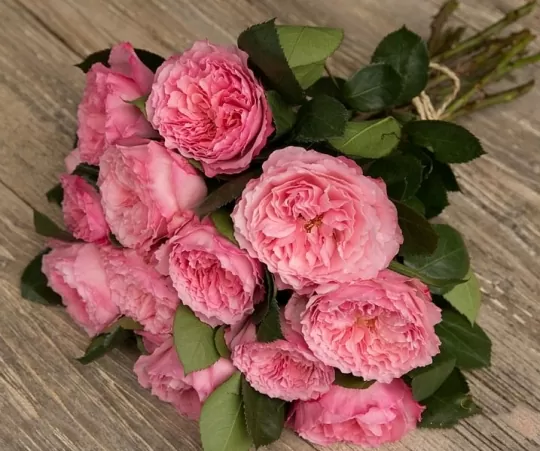 Букет роз от Дэвида Остина "Майра Роуз" - фото 1