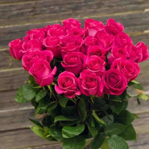 Букет из 25 роз "Pink floyd" - фото 1