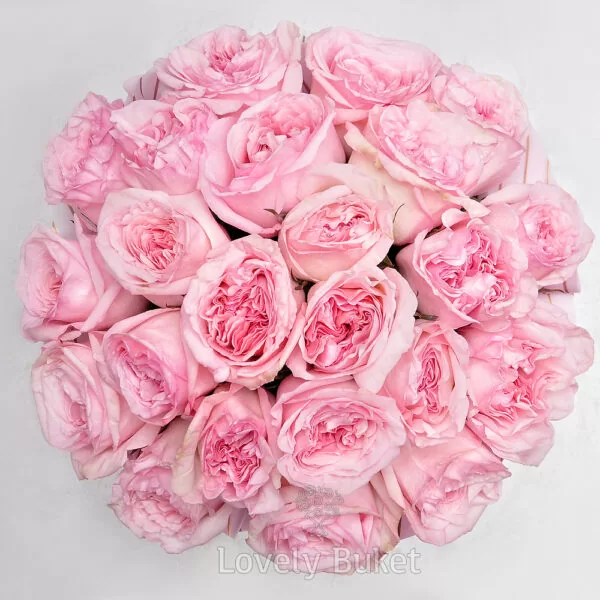 Букет пионовидных роз с фруктовым ароматом в коробке "Бархат" - фото 2
