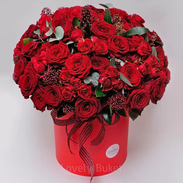 Букет из 81 розы в красно-рубиновой гамме со скиммией - фото 1