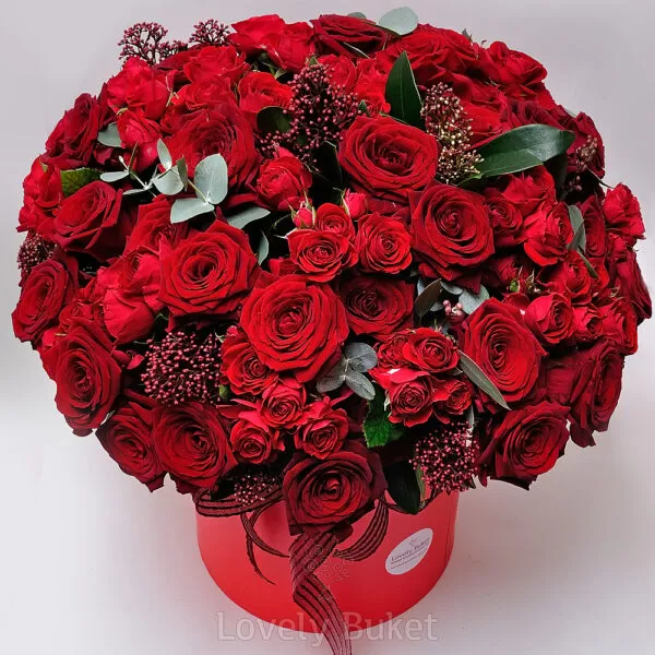 Букет из 81 розы в красно-рубиновой гамме со скиммией - фото 3