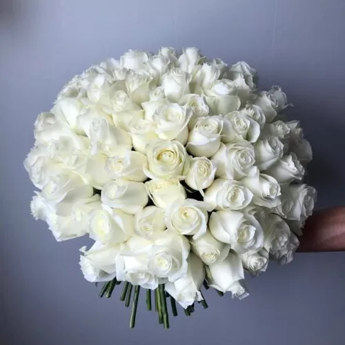 Букет из 101 белоснежной розы с крупным бутоном - фото 1