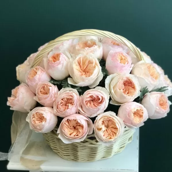 Корзина элитных пионовидных роз с веточками мимозы - фото 1