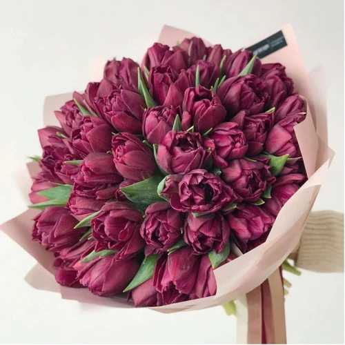 Изысканные тюльпаны Alison Bradley - фото 1