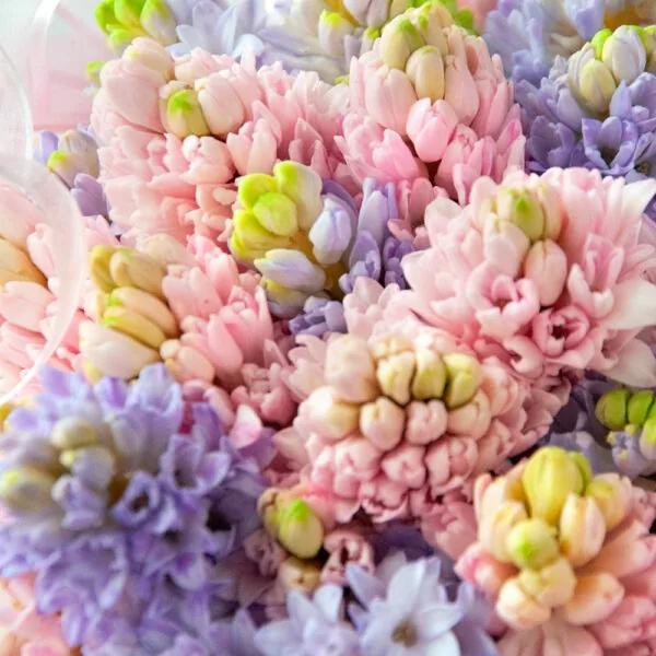 Букет из сиреневых и розовых гиацинтов "Нежные первоцветы" - фото 2