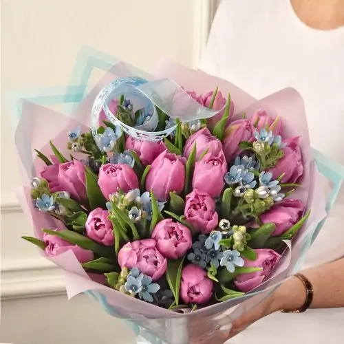 Букет с тюльпанами и оксипеталумом "Весеннее очарование" - фото 1