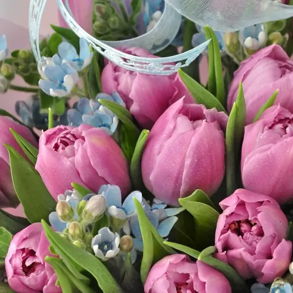 Букет с тюльпанами и оксипеталумом "Весеннее очарование" - фото 2